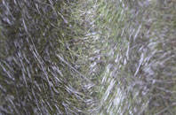 Druid fibreglass roof work